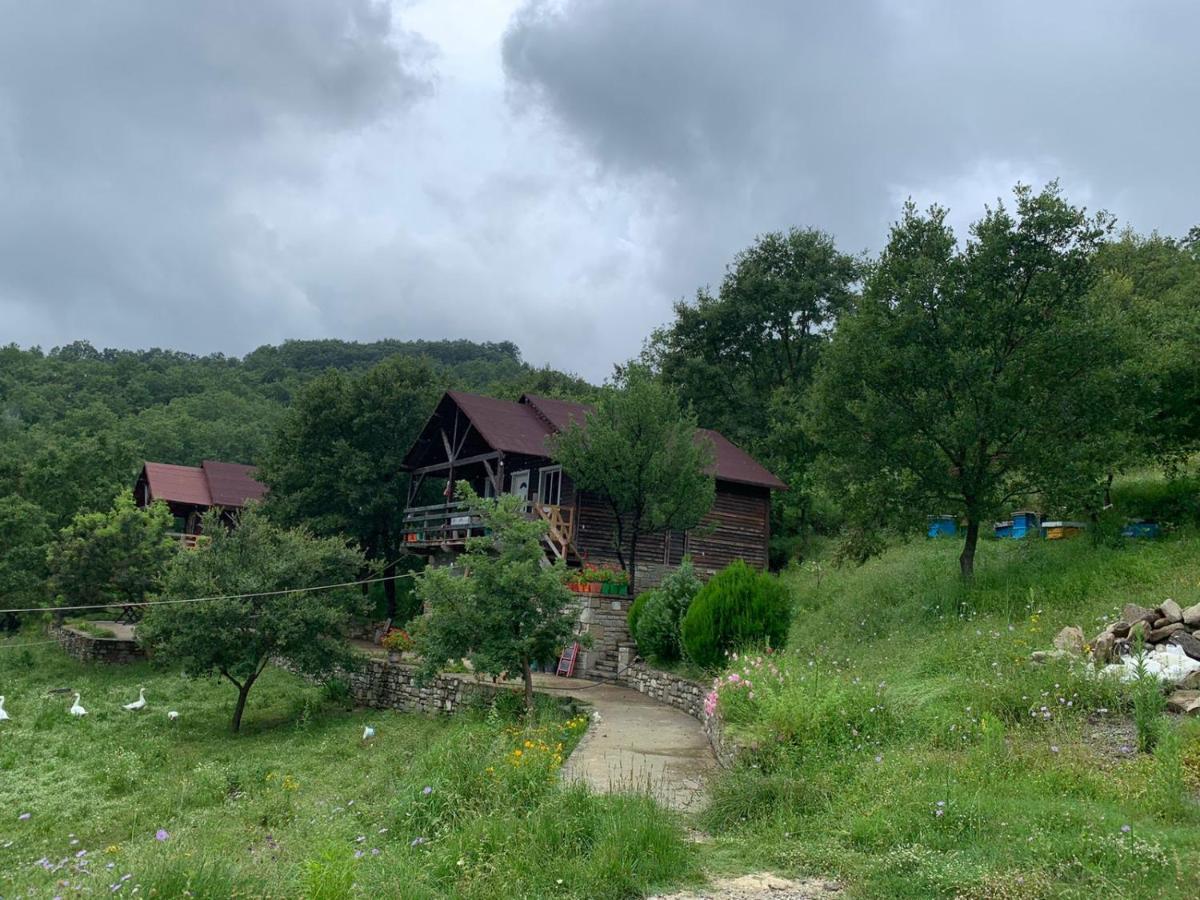 Origjina Farm Villa Përmet Exterior foto