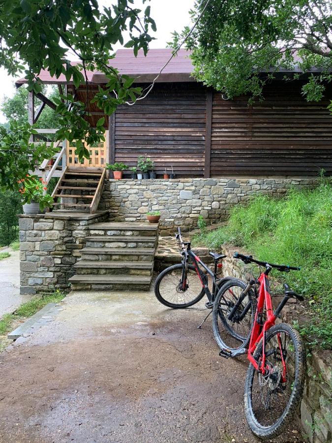 Origjina Farm Villa Përmet Exterior foto